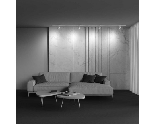Трековый светильник Maytoni Technical Single phase track system Unity Polar TR088-1-GX53-W