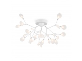 Потолочная люстра Freya Florencia FR5049CL-27W2