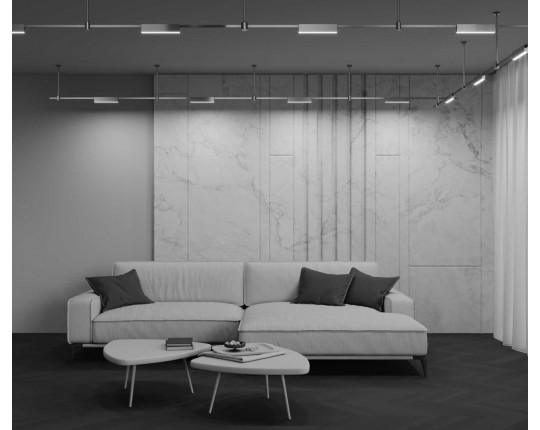 Трековый светильник Maytoni Technical TR151-1-18W3K-PT