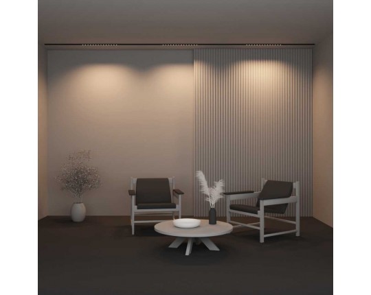 Трековый светильник Maytoni Technical TR174-1-24WTW-M-B