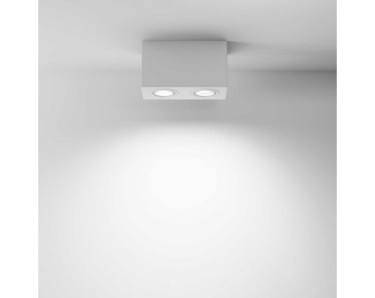 Потолочный светильник Maytoni Technical Atom C017CL-02W