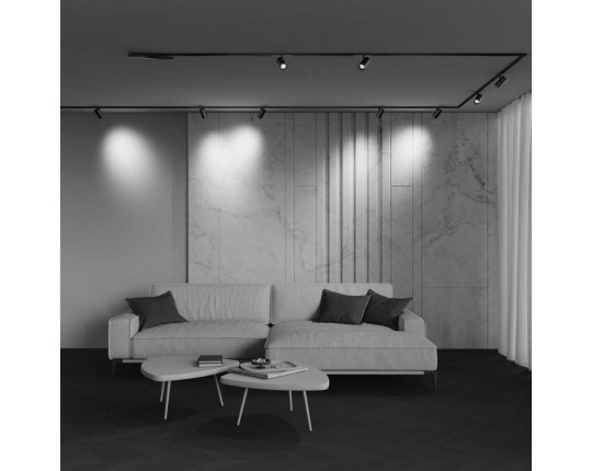 Трековый светильник Maytoni Technical EXILITY X Focus Led TR243-12W4K-B