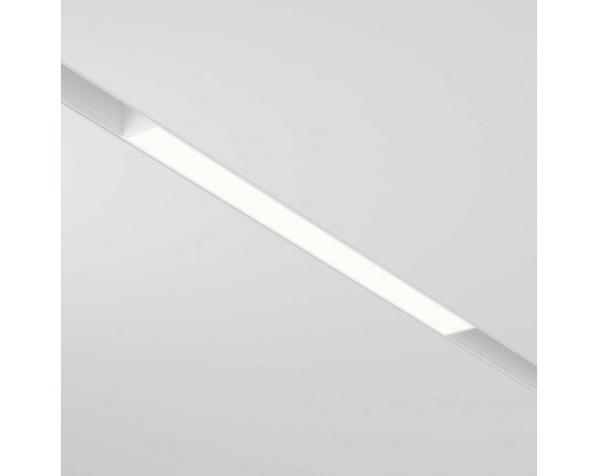 Трековый светодиодный светильник Maytoni Technical Basis TR030-2-12W3K-W