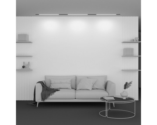 Трековый светодиодный светильник Maytoni Technical Basis TR030-2-24W2.7K-B