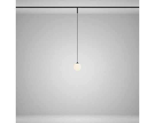 Трековый подвесной светильник Maytoni Technical TR178-1-5WTW-B