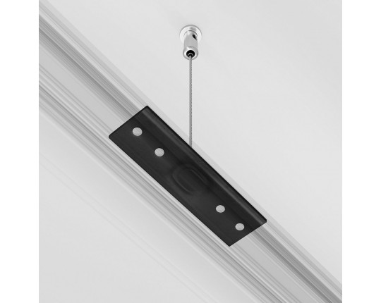Подвес Maytoni Technical Exility Busbur TRA034SW-2B