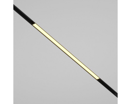 Трековый светодиодный светильник Maytoni Technical Basis TR030-2-24W2.7K-B