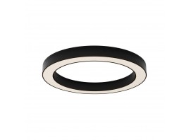 Потолочный светильник Maytoni Technical C093CL-45W3K-B