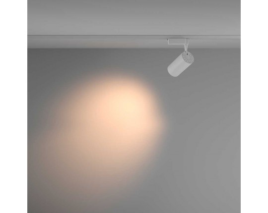 Трековый светильник Maytoni Technical Vuoro TR003-1-36W3K-M-W