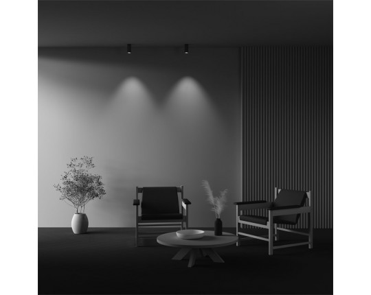 Потолочный светодиодный светильник Maytoni Technical Focus Led C056CL-L12W2.7K-W-BS