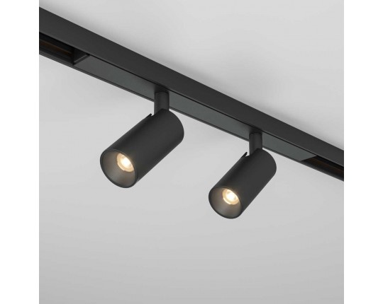 Трековый светильник Maytoni Technical TR176-1-2X3WTW-M-B