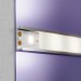 Светодиодная лента Standard Maytoni Led Strip 20002