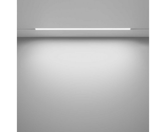 Трековый светодиодный светильник Maytoni Technical Exility Basis TR030-4-24WTW-DD-W