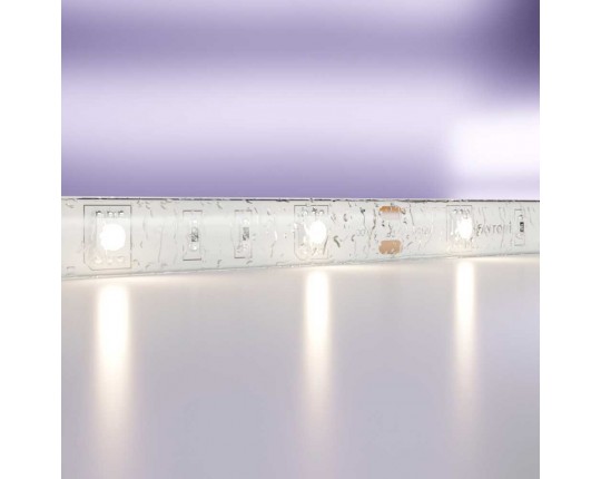 Светодиодная влагозащищенная лента Maytoni Technical 7,2W/m 30LED/m 5050SMD дневной белый 5M 10124 Светодиодная влагозащищенная лента Maytoni Technical 7,2W/m 30LED/m 5050SMD дневной белый 5M 10124