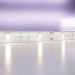 Светодиодная влагозащищенная лента Maytoni Technical 7,2W/m 30LED/m 5050SMD дневной белый 5M 10124 Светодиодная влагозащищенная лента Maytoni Technical 7,2W/m 30LED/m 5050SMD дневной белый 5M 10124