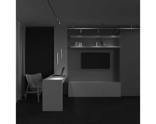 Трековый светильник Maytoni Technical TR155-1-5W4K-PT