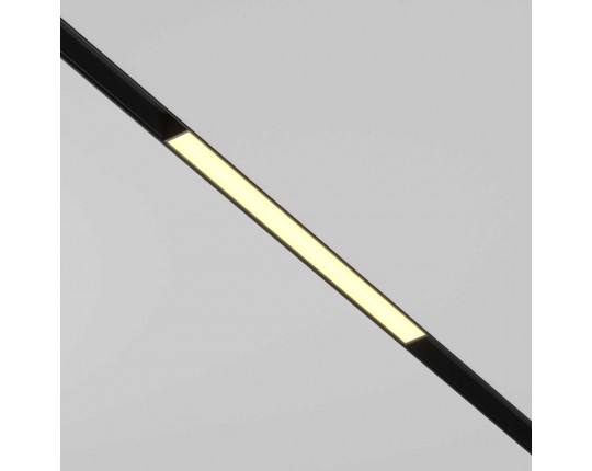 Трековый светильник Maytoni Technical Basis TR030-2-12W2.7K-B