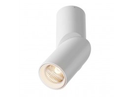 Светодиодный спот Maytoni Dafne C027CL-L10W