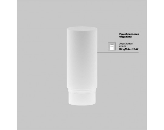 Трековый светильник Maytoni Technical Focus Led TR032-2-12W4K-M-BBS