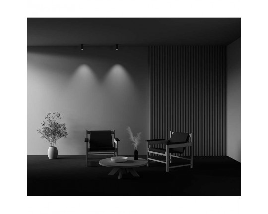 Потолочный светодиодный светильник Maytoni Technical Focus LED C056CL-L12W4K-W-BS Потолочный светодиодный светильник Maytoni Technical Focus LED C056CL-L12W4K-W-BS