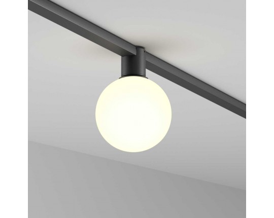 Трековый светильник Maytoni Technical TR171-1-5W3K-WB