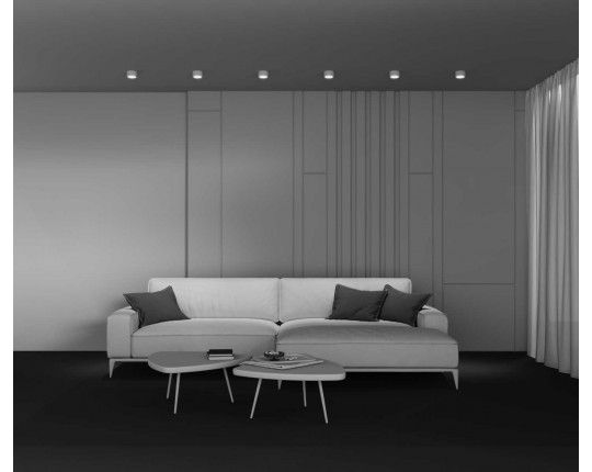Потолочный светильник Maytoni Technical C001CL-GX53-W