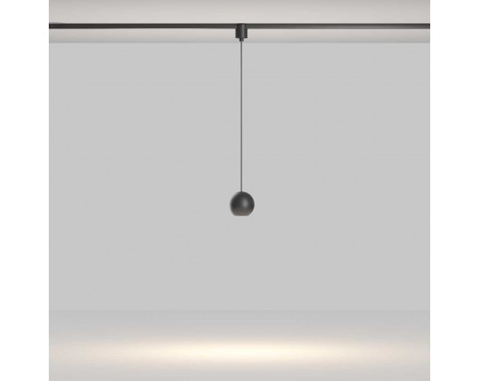 Трековый подвесной светильник Maytoni Technical TR165-1-8W3K-M-B