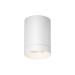 Потолочный светильник Maytoni Outdoor O500CL-L10W3K Потолочный светильник Maytoni Outdoor O500CL-L10W3K