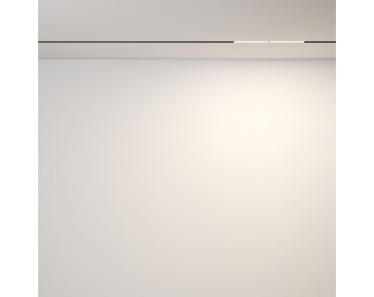 Трековый светодиодный светильник Maytoni Technical Magnetic Exility Parete TR106-2-12W3K-B
