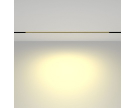 Трековый светодиодный светильник Maytoni Technical Basis TR030-2-24W2.7K-B