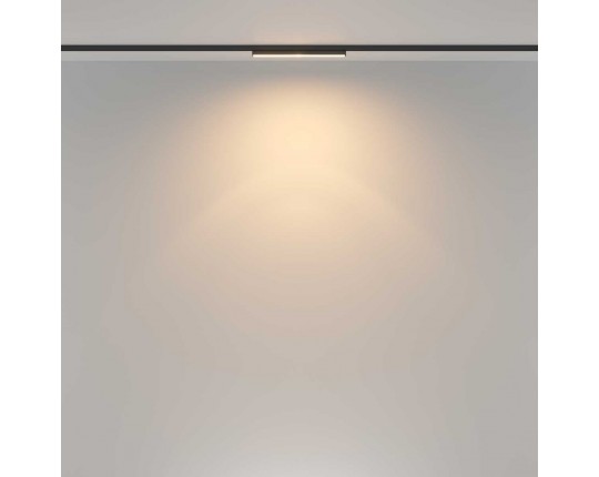 Трековый светильник Maytoni Technical TR183-1-12WTW-B