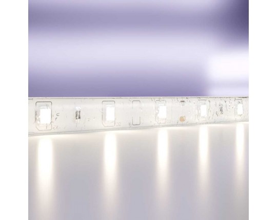 Светодиодная лента Standard Maytoni Led Strip 10106