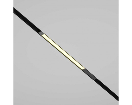 Трековый светильник Maytoni Technical TR231-2-10W3K-B