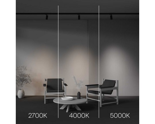 Трековый светодиодный светильник Maytoni Technical Focus Led TR197-3-12WCCT-M-B