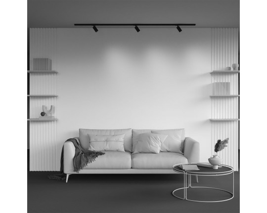 Трековый светильник Maytoni Technical Calipso TR218-1-GU10-BK