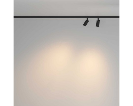 Трековый светильник Maytoni Technical TR176-1-2X3WTW-M-B