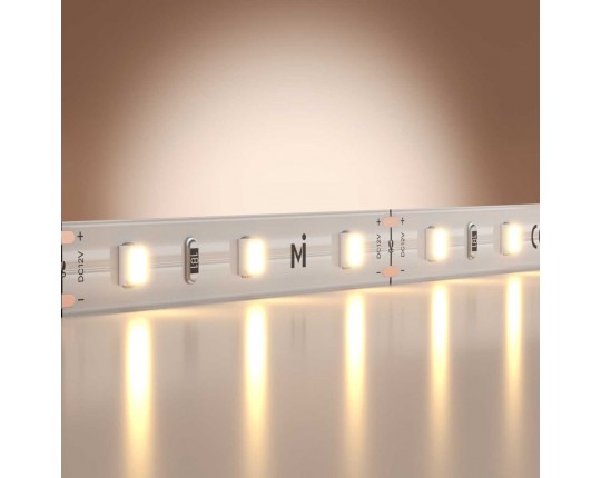 Светодиодная лента Maytoni Led Strip 5м 201162