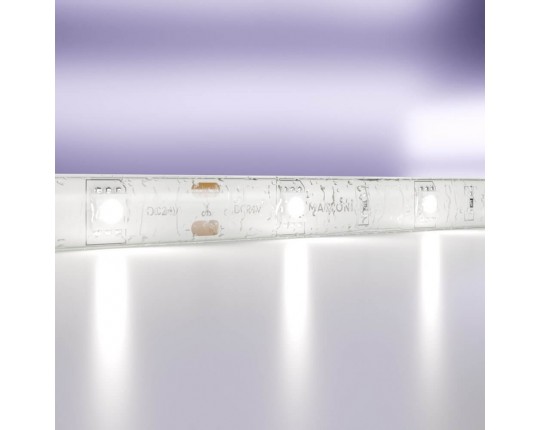 Светодиодная влагозащищенная лента Maytoni Technical 7,2W/m 30LED/m 5050SMD холодный белый 5M 10165
