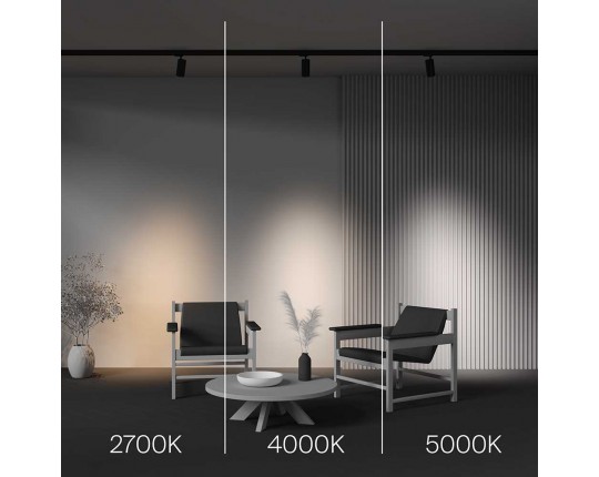 Трековый светодиодный светильник Maytoni Technical Focus Led TR197-3-20WCCT-M-B