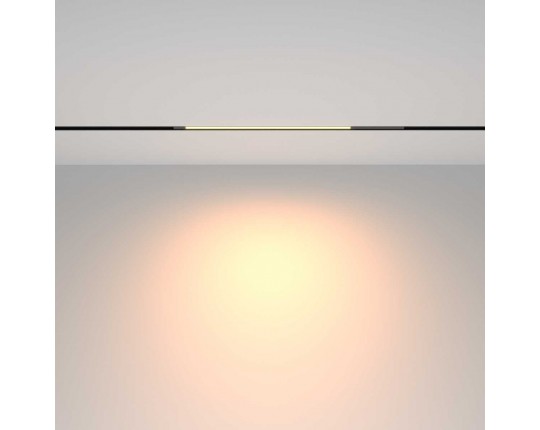 Трековый светильник Maytoni Technical TR231-2-10W3K-B