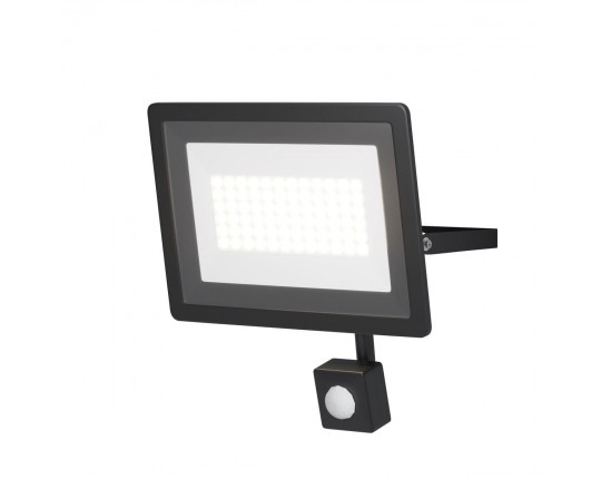 Прожектор светодиодный Maytoni Flood 50W 6500K FL001-L50B6KSR