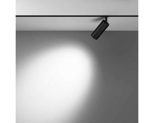 Трековый светодиодный светильник Maytoni Technical Focus Led TR032-2-12W4K-M-B