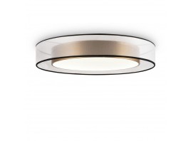 Потолочный светодиодный светильник Freya Zoticus FR6005CL-L48G