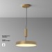 Потолочный светодиодный светильник Maytoni Technical Zon C032CL-45W2.7K-RD-MG