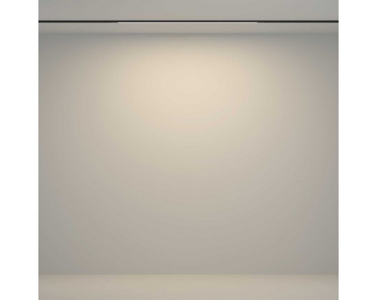 Трековый светильник Maytoni Technical TR180-1-12WTW-B