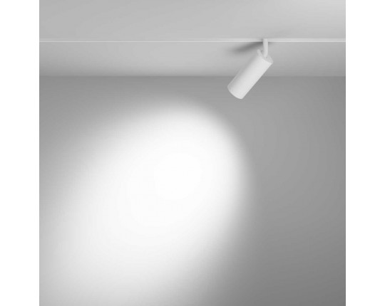Трековый светильник Maytoni Technical TR032-4-12WTW-M-DD2-W