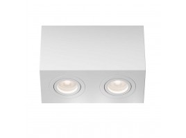 Потолочный светильник Maytoni Technical Atom C017CL-02W