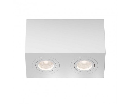 Потолочный светильник Maytoni Technical Atom C017CL-02W