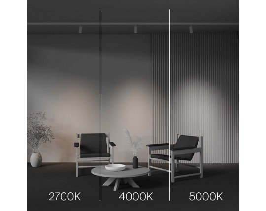Трековый светодиодный светильник Maytoni Technical Focus Led TR197-3-12WCCT-M-W