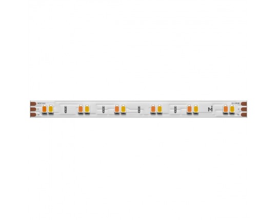 Светодиодная лента Maytoni 12W/m 120LED/m 2835SMD от теплого до холодного 5M 201123